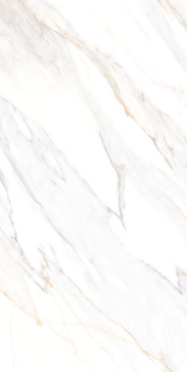 Aurum Calacatta Polished 24 x 48